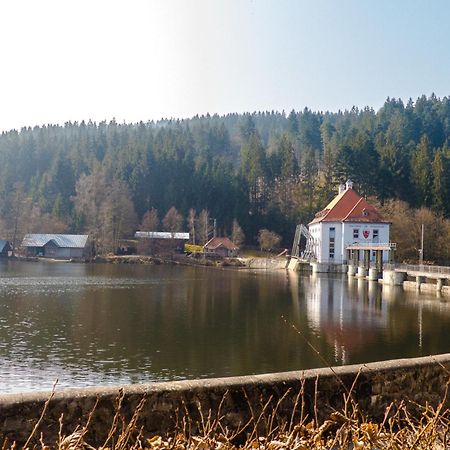 Ferienhaus Nr 18B, Feriendorf Hagbügerl, Bayr Wald Waldmünchen Exterior foto